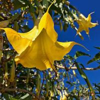 Img 20261017 Wa0003