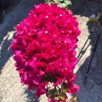 Img 20261017 Wa0015