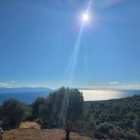 Img 20261017 Wa0038