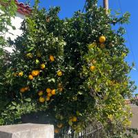Img 20261024 Wa0004