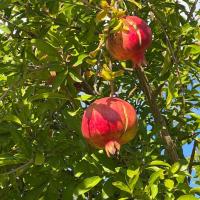 Img 20261024 Wa0008