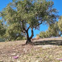 Img 20261024 Wa0022