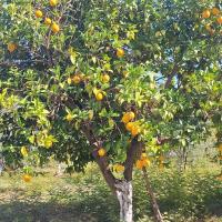 Img 20261024 Wa0025