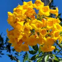 Img 20261024 Wa0056